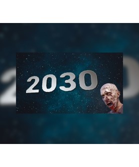 2030 Steam Key GLOBAL